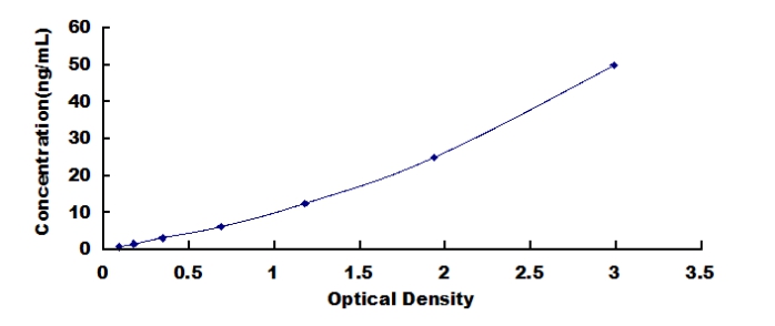 Typical Standard Curve for CAMP ELISA (Sandwich)