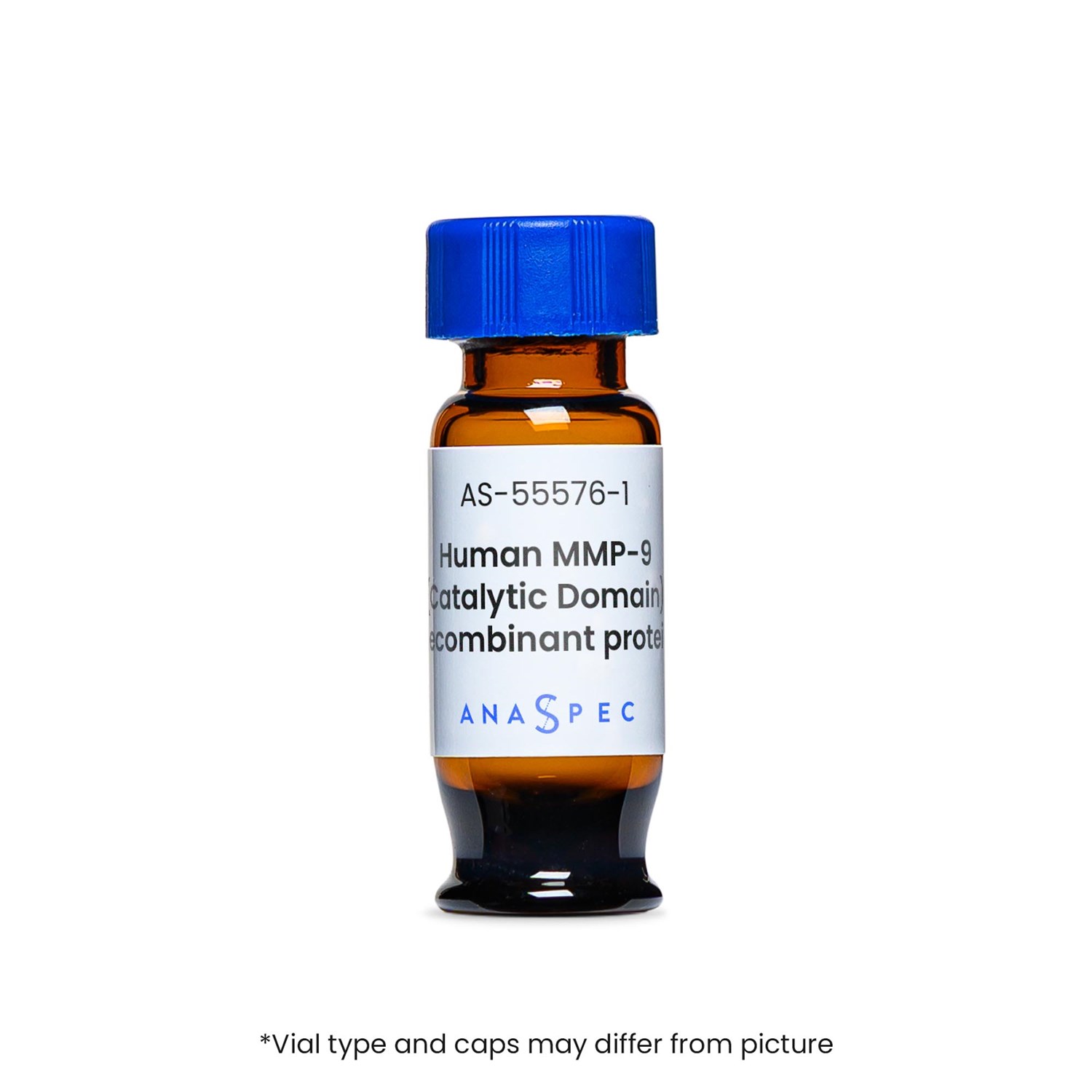 MMP-9 (Catalytic Domain), human recombinant