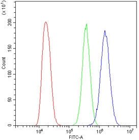 Flow cytometry testing of human A431 cells with PSD95 antibody at 1ug/million cells (blocked with goat sera); Red=cells alone, Green=isotype control, Blue= PSD95 antibody.