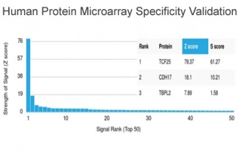Analysis of HuProt(TM) microarray containing more than 19,000 full-length human proteins using TCF-25 antibody (clone PCRP-TCF25-1F12). These results demonstrate the foremost specificity of the PCRP-TCF25-1F12 mAb. Z- and S- score: The Z-score represents the strength of a signal that an antibody (in combination with a fluorescently-tagged anti-IgG secondary Ab) produces when binding to a particular protein on the HuProt(TM) array. Z-scores are described in units of standard deviations (SD's) above the mean value of all signals generated on that array. If the targets on the HuProt(TM) are arranged in descending order of the Z-score, the S-score is the difference (also in units of SD's) between the Z-scores. The S-score therefore represents the relative target specificity of an Ab to its intended target.
