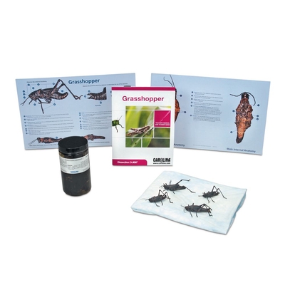Grasshopper Dissection BioKit® with Dissection Mats