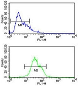 Integrin alpha 5 antibody flow cytometric analysis of CEM cells (green) compared to a <a href=../search_result.php?search_txt=n1001>negative control</a> (blue). FITC-conjugated goat-anti-rabbit secondary Ab was used for the analysis.