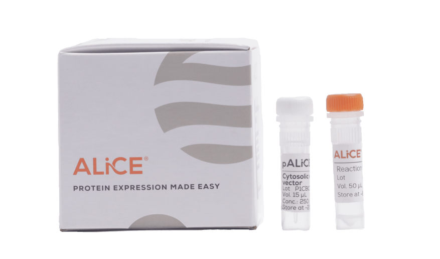 ALiCE® CellFree Protein Expression Maxi Kit (60 reactions), 6 x 500 µL