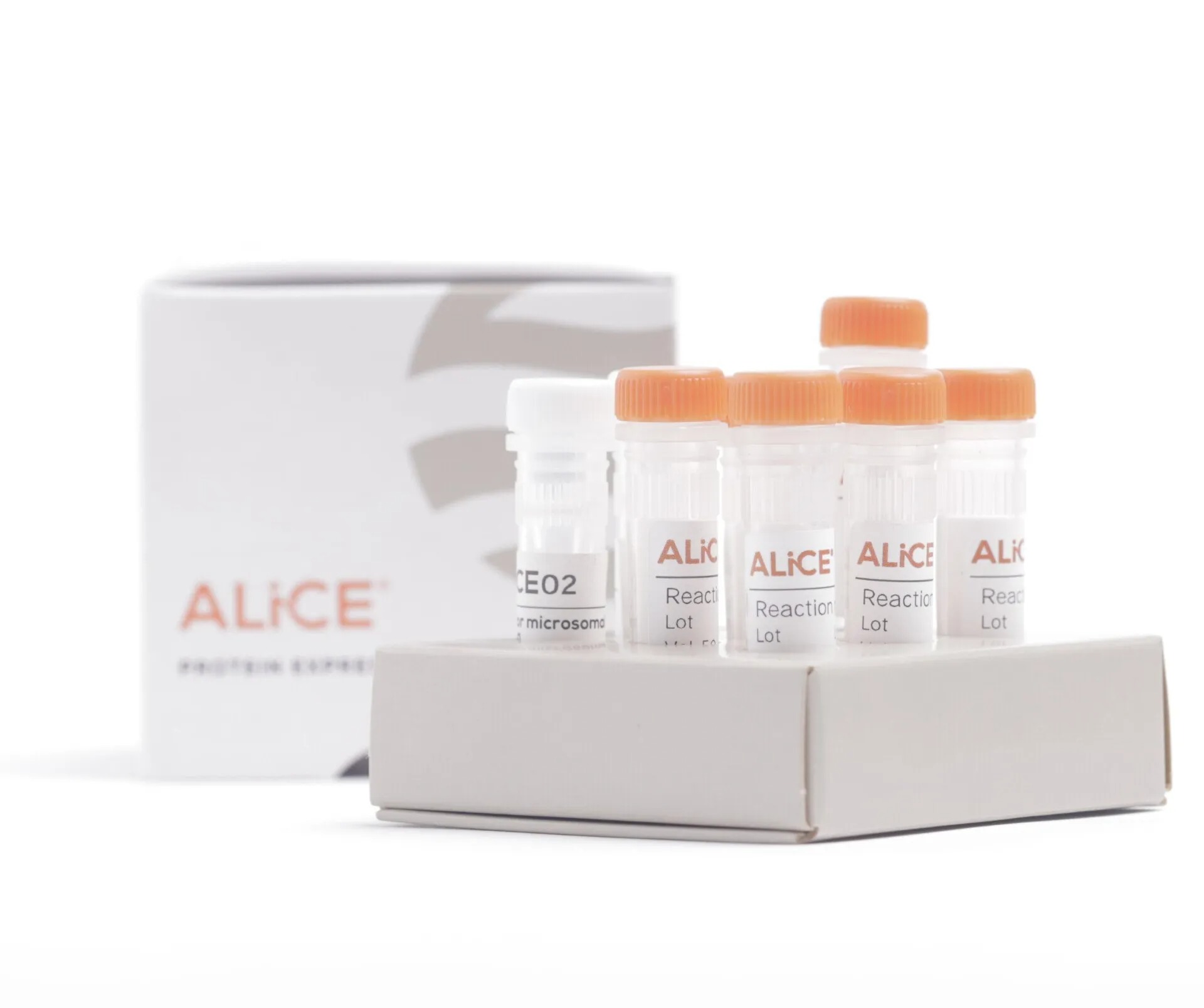 ALiCE® Cell-Free Protein Expression Mini Kit (6 reactions)