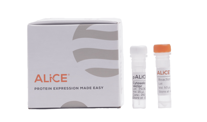 ALiCE® Cell-Free Protein Expression Mini Kit (6 reactions) w/Box Closed + Vector and Reaction Tubes