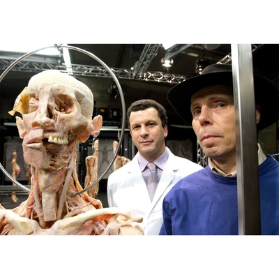 Anatomy for Beginners Series Set DVD