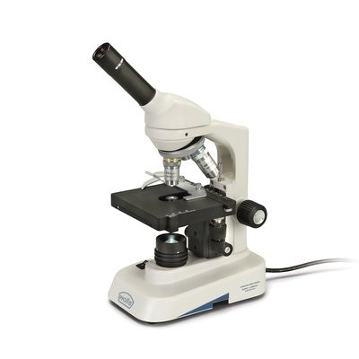 Wolfe® LED Educational Microscope with Mechanical Stage