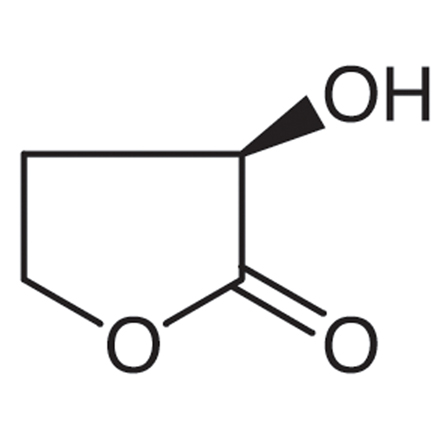 (R)-(+)-α-Hydroxy-γ-butyrolactone, CAS RN: 56881-90-4, Product Number: H0950