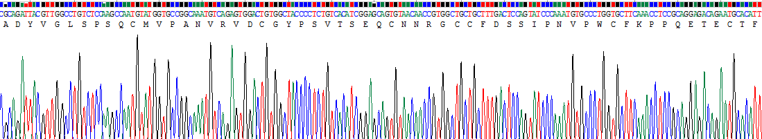 Figure. Gene Sequencing (extract)