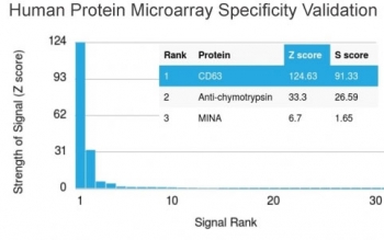 Analysis of HuProt(TM) microarray containing more than 19,000 full-length human proteins using CD63 antibody (clone LAMP3/2788). These results demonstrate the foremost specificity of the LAMP3/2788 mAb. Z- and S- score: The Z-score represents the strength of a signal that an antibody (in combination with a fluorescently-tagged anti-IgG secondary Ab) produces when binding to a particular protein on the HuProt(TM) array. Z-scores are described in units of standard deviations (SD's) above the mean value of all signals generated on that array. If the targets on the HuProt(TM) are arranged in descending order of the Z-score, the S-score is the difference (also in units of SD's) between the Z-scores. The S-score therefore represents the relative target specificity of an Ab to its intended target.