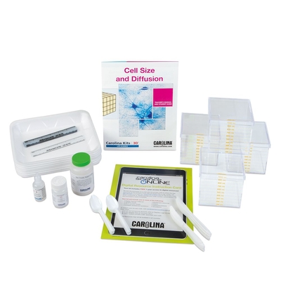 Cell Size and Diffusion Kit