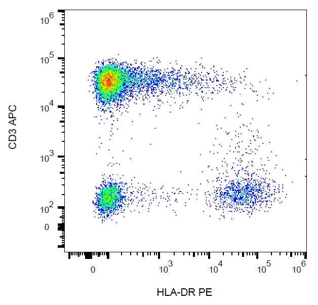 Anti-HLA DR Antibody [L243] (PE)