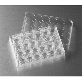 Corning® Costar® Sterile TC-Treated Cell Culture Plates