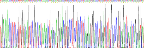 Figure. Gene Sequencing (extract)