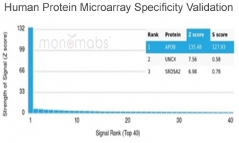 Analysis of HuProt(TM) microarray containing more than 19,000 full-length human proteins using Apolipoprotein B antibody (clone APOB/4335). These results demonstrate the foremost specificity of the APOB/4335 mAb. Z- and S- score: The Z-score represents the strength of a signal that an antibody (in combination with a fluorescently-tagged anti-IgG secondary Ab) produces when binding to a particular protein on the HuProt(TM) array. Z-scores are described in units of standard deviations (SD's) above the mean value of all signals generated on that array. If the targets on the HuProt(TM) are arranged in descending order of the Z-score, the S-score is the difference (also in units of SD's) between the Z-scores. The S-score therefore represents the relative target specificity of an Ab to its intended target.