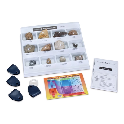 Premier Fossils Collection