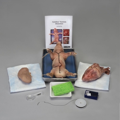 Carolina® Forensic Dissection Kit for 1 Student Group