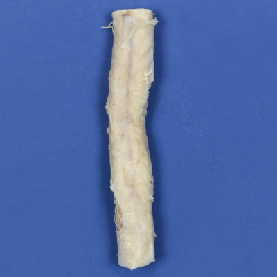Carolinas Perfect Solution® Cow Spinal Cord, 4