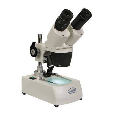 Wolfe® Student Stereomicroscope 10x and 30x