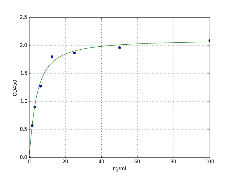 Human Bcl-2 ELISA Kit
