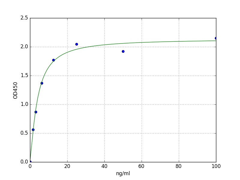Human CKM ELISA Kit