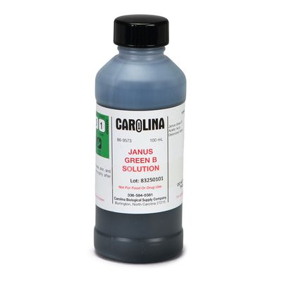 Janus Green B, 0.1% Aqueous, Laboratory Grade, 100 mL