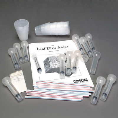 Leaf Disk Assay