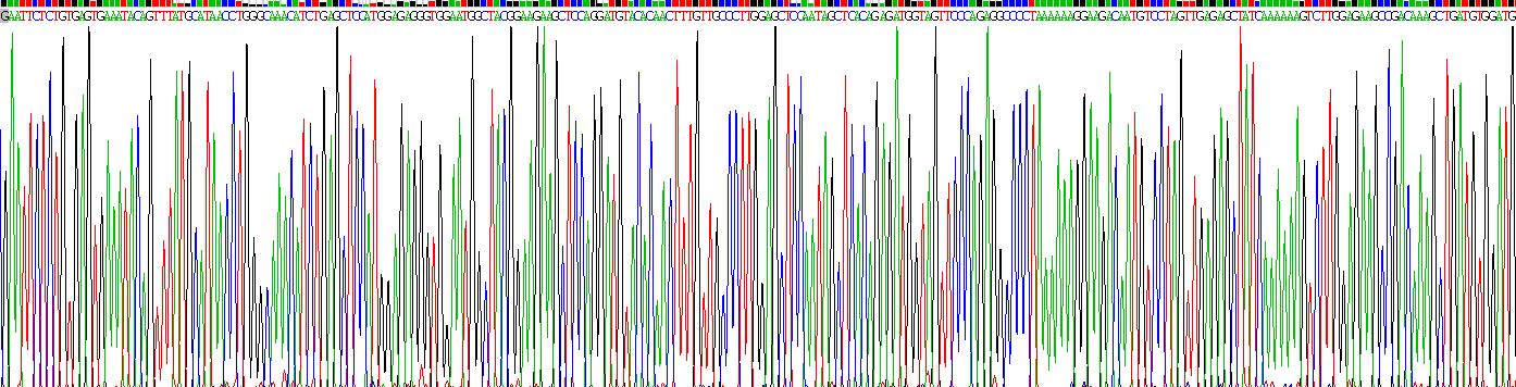 Figure. Gene Sequencing (extract)