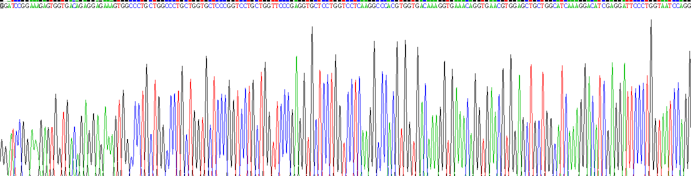 Figure. Gene Sequencing (extract)