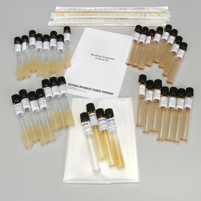 Bacterial Anaerobe Culture Kit (with perishables)