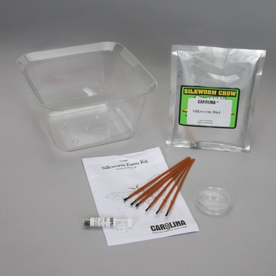 Silkworm (Bombyx mori) Farm Kit