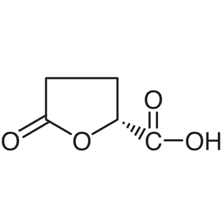 (R)-(-)-5-Oxotetrahydrofuran-2-carboxylic Acid, CAS RN: 53558-93-3, Product Number: O0281