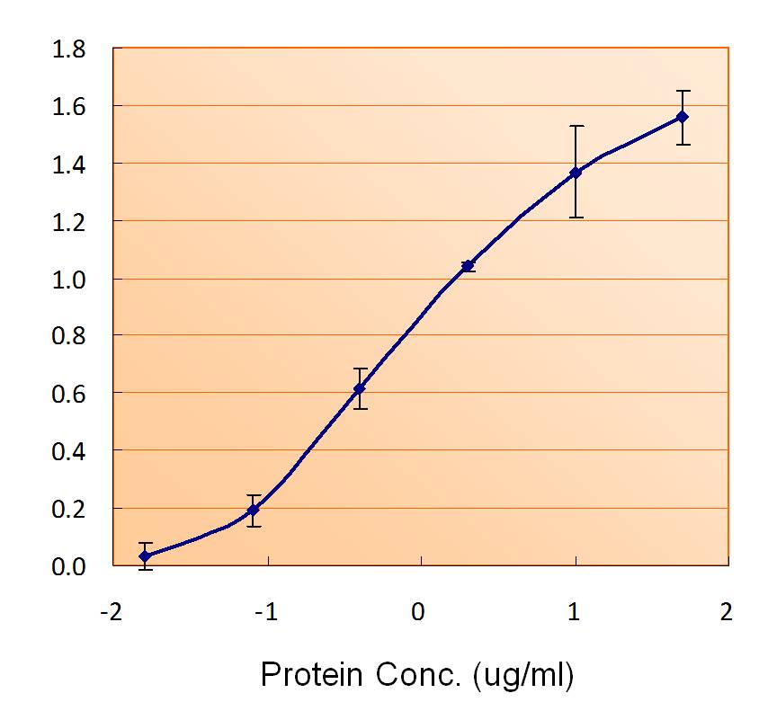 Anti-Ferritin Light Chain Antibody