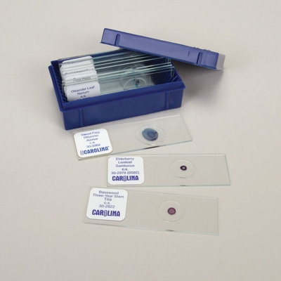 Plant Anatomy Microscope Slide Set