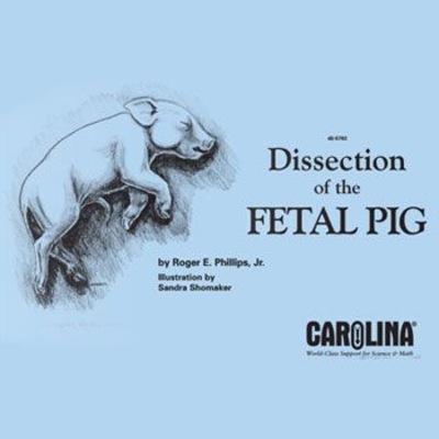Carolina eBook: Dissection of the Fetal Pig