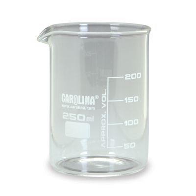 Carolina Beakers, Standard Grade 250 mL, Pack of 12
