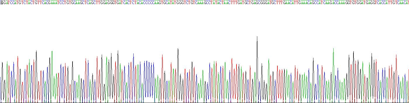 Figure. Gene Sequencing (extract)