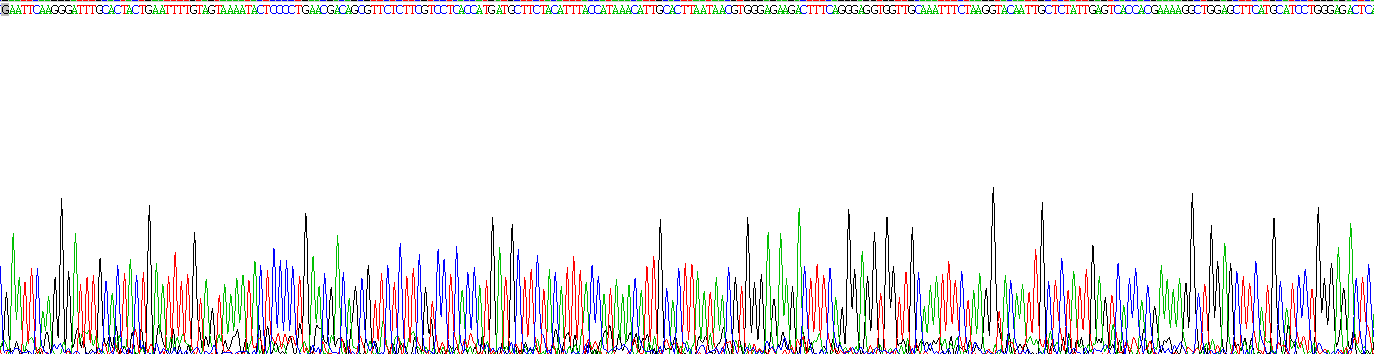 Figure. Gene Sequencing (extract)