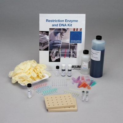 Restriction Enzyme and DNA 8-Station Kit with CarolinaBLU® - DNA and Enzyme Refill