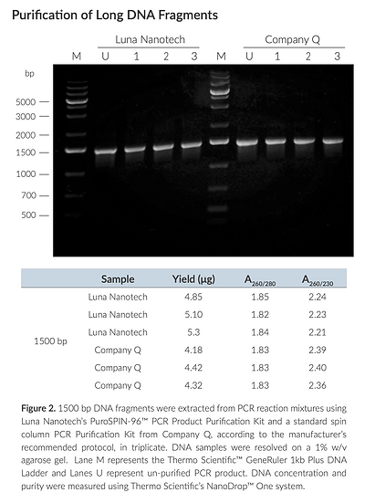 Gold Nanoparticles - ssDNA, 80 nm, Long (60-90 bases), 2 kDa, 1 mL