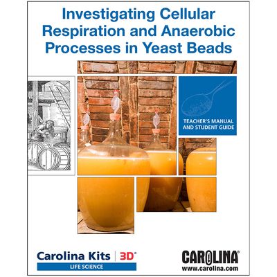 Investigating Cellular Respiration and Anaerobic Processes in Yeast Beads Digital Resources
