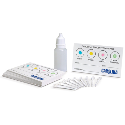 Carolina® Blood Typing Card, Classroom Pack, 30 Cards