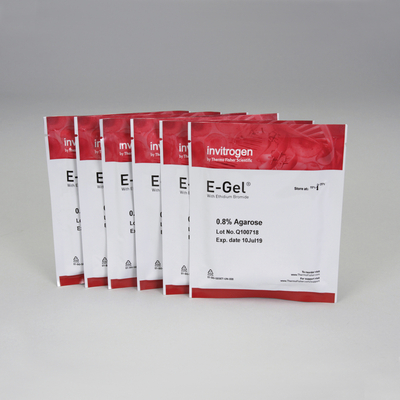 E-Gel®, 0.8% with Ethidium Bromide, Pack of 6