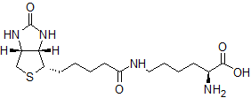 Biocytin | Neuroanatomical tracer | 576-19-2 | Hello Bio