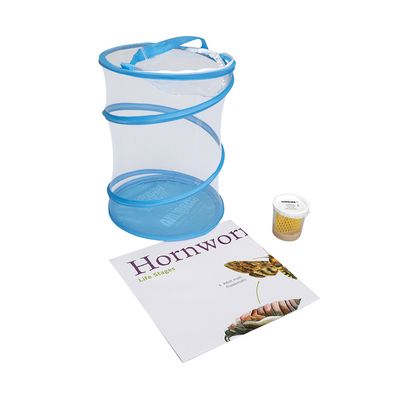 Hornworm Amazing Bugs® Kit (with live hornworm larvae)