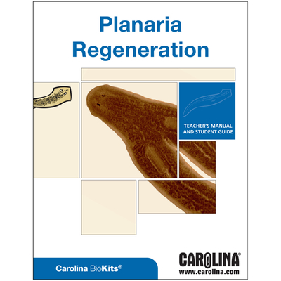 Planaria Regeneration Kit Voucher