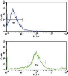 Flow cytometric analysis of MCF-7 cells using HER2 / ErbB2 antibody (bottom histogram) compared to a negative control cell (top histogram). FITC-conjugated goat-anti-rabbit secondary Ab was used for the analysis.