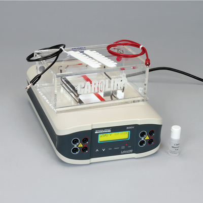 Deluxe Electrophoresis Equipment System, 110-V