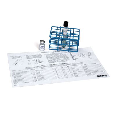 Penicillium notatum, MicroKwik Culture®, Vial