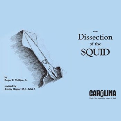 Carolina eBook: Dissection of the Squid